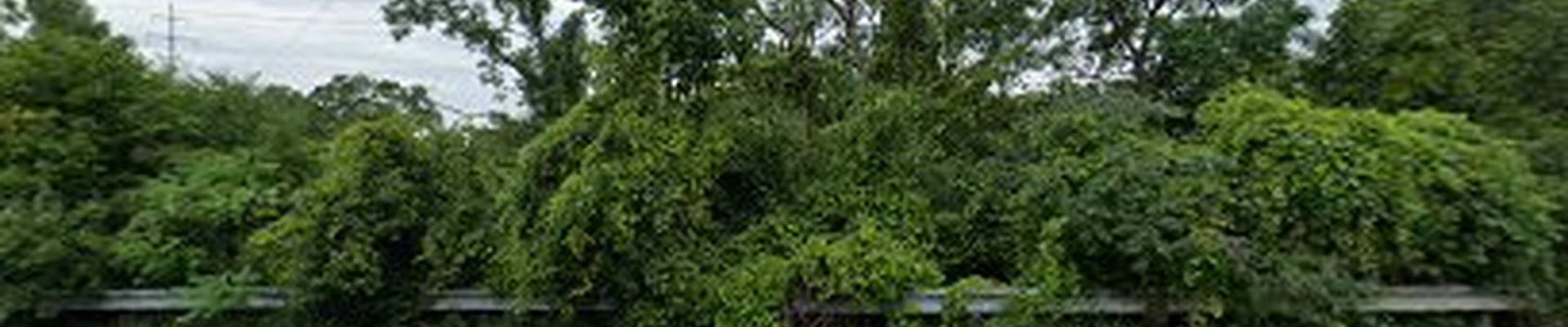 See Green Landscaping, LLC