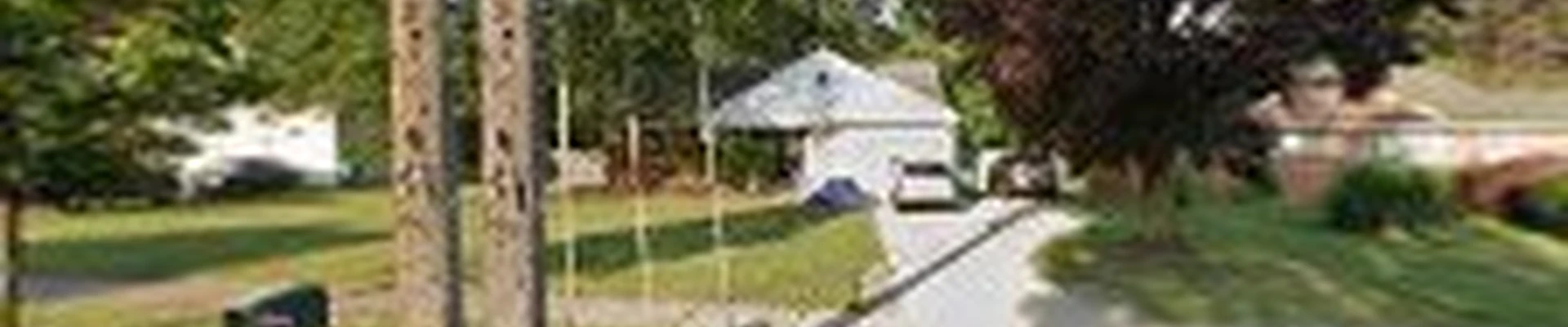 Vibrant Landscaping & Services