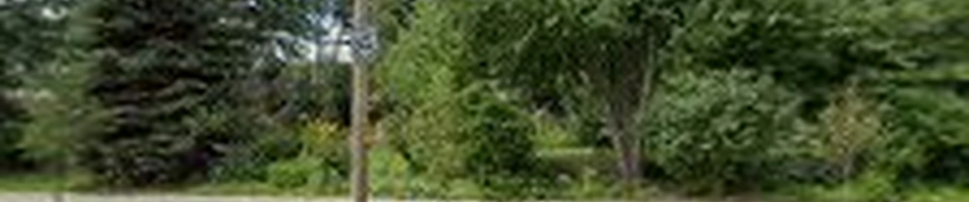 Ardmore Tree Services