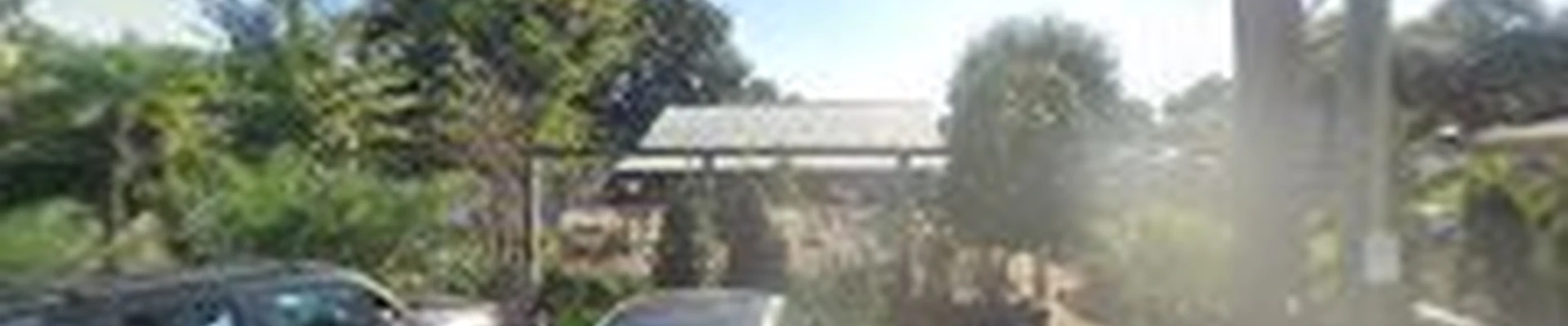 Martin's Nursery & Landscape