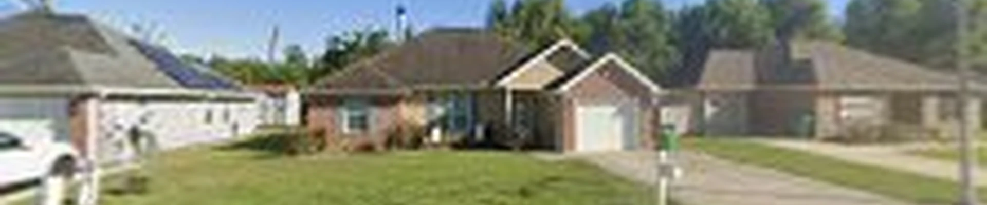 Southern Grass and Garden