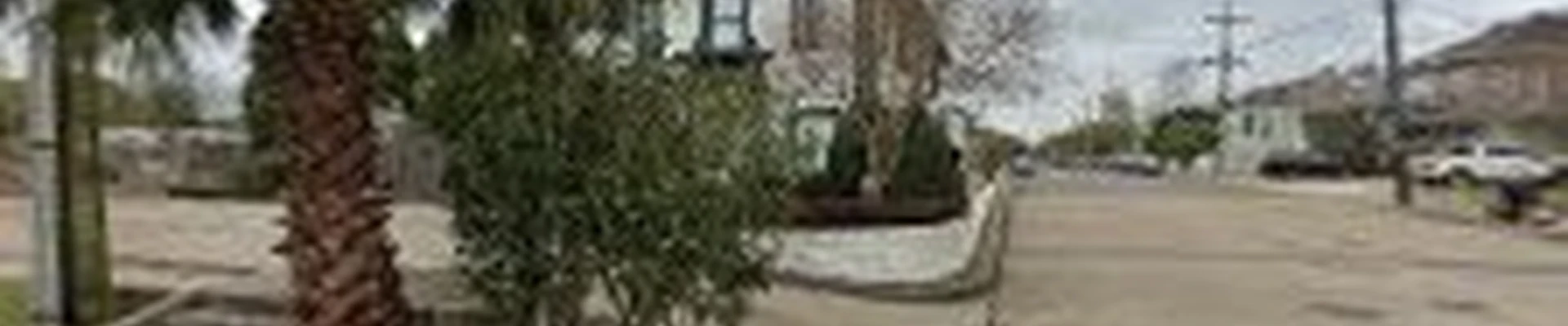 Vista Landscaping