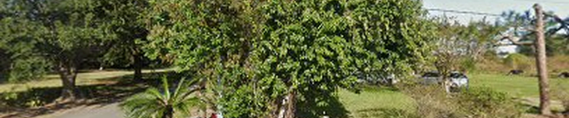 Mitch's Landscaping & Lawn Co