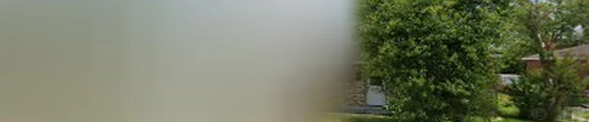Top Scale Lawn Care
