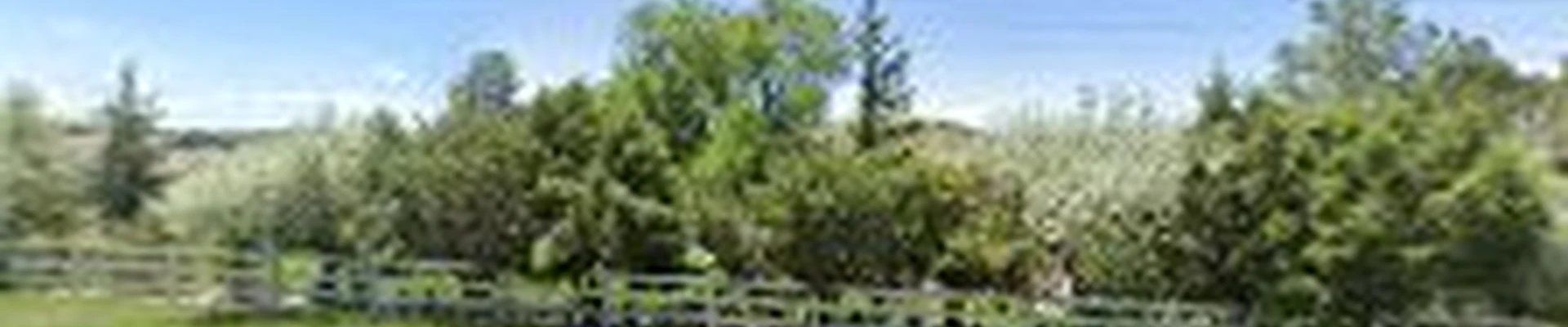 Dannys Landscaping & Construction