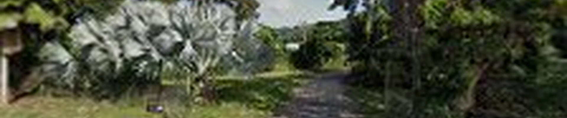 Aloha `Aina Landscaping LLC