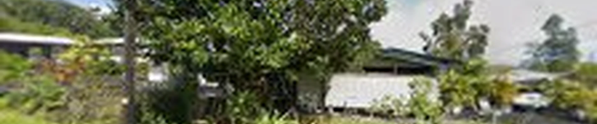 Hilo Landscaping Pros