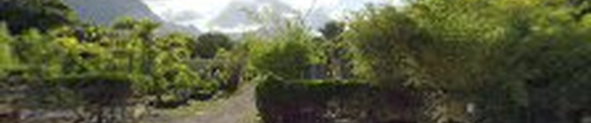 Mulkern Landscaping & Nursery
