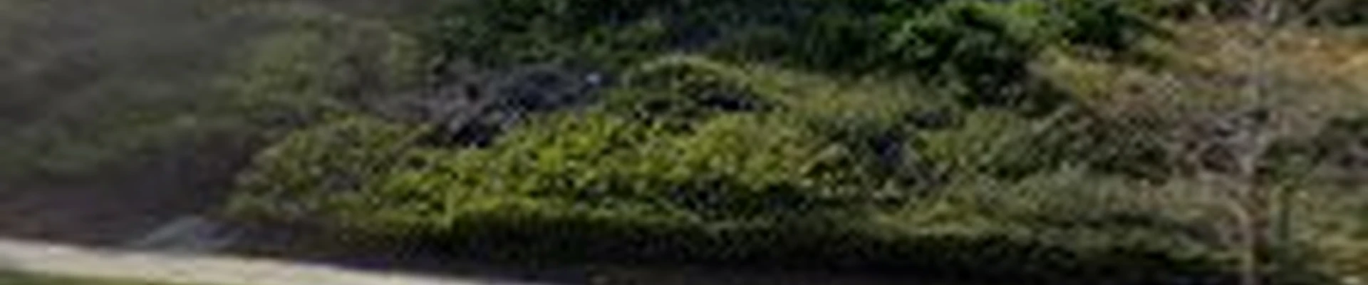 Greenside Landscaping Inc