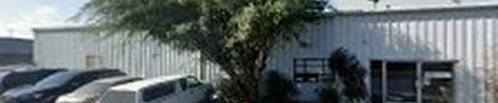 Gruett Tree Company Inc