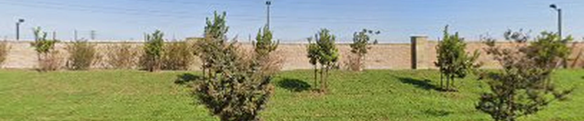 Mission Landscape