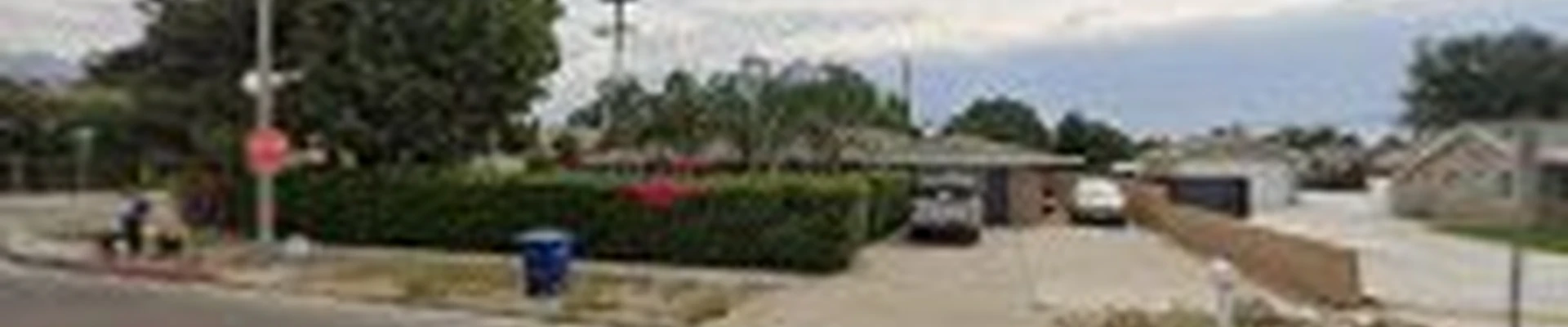 Chris Landscaping & Tree Service