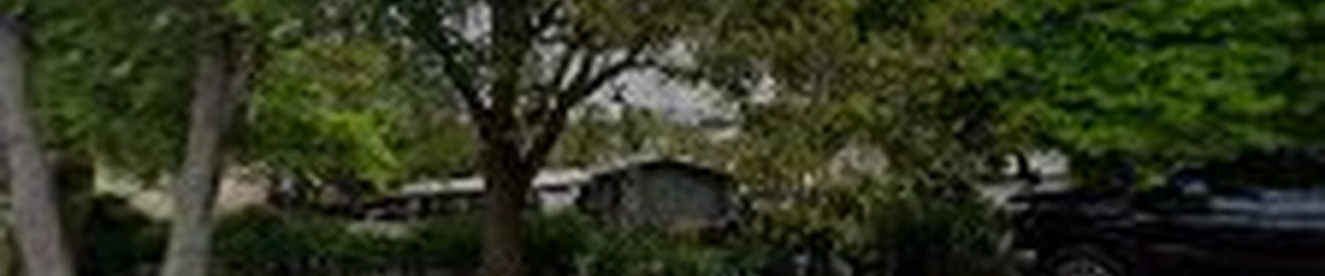 J & R Palms and Landscaping Inc