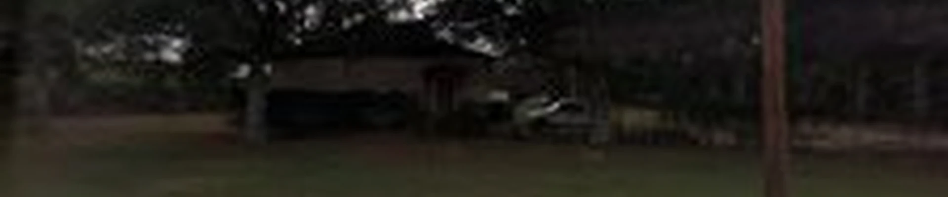 Evergreen Lawn & Pest Control