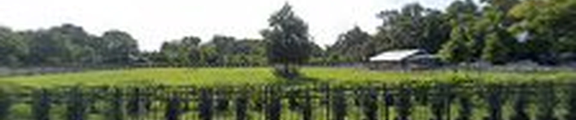 Keller Outdoor Landscaping, LLC