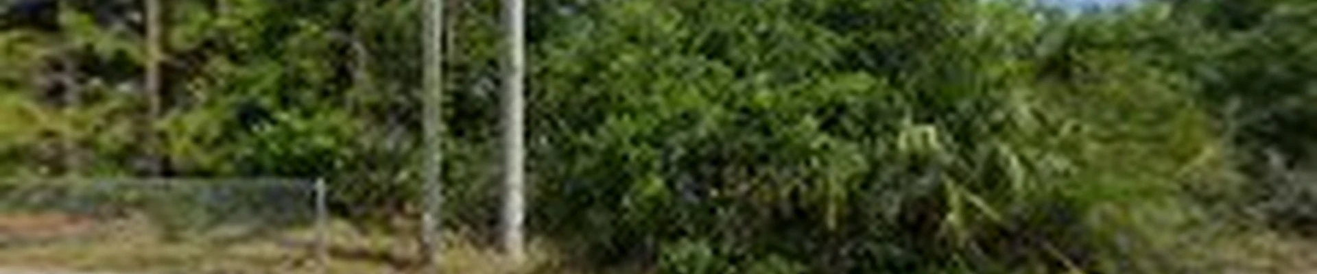 Pink Flamingo Landscaping LLC