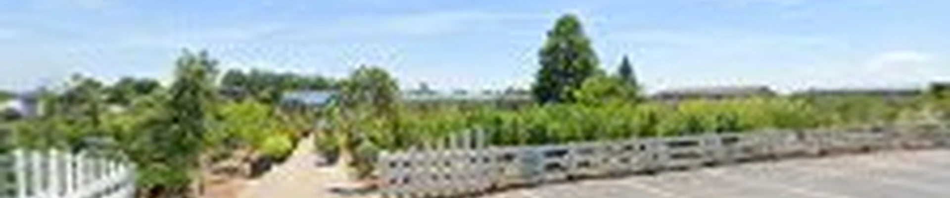 Silver Cliff Landscaping