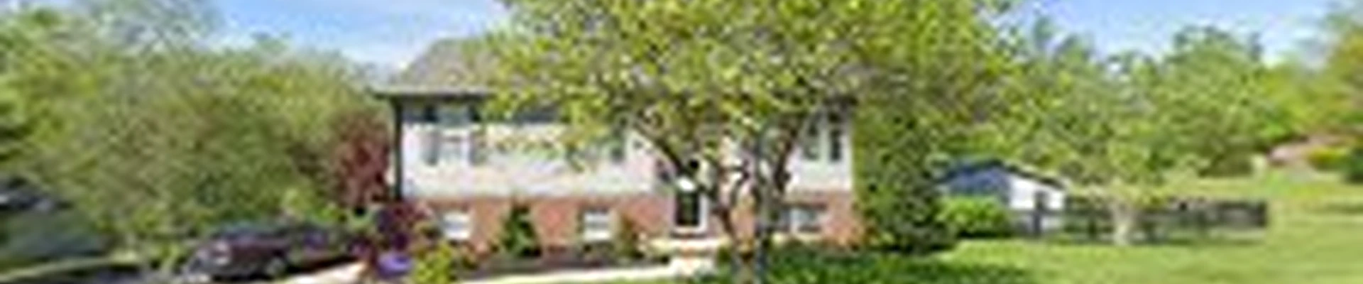 Kentucky Lawn Management & Irrigation