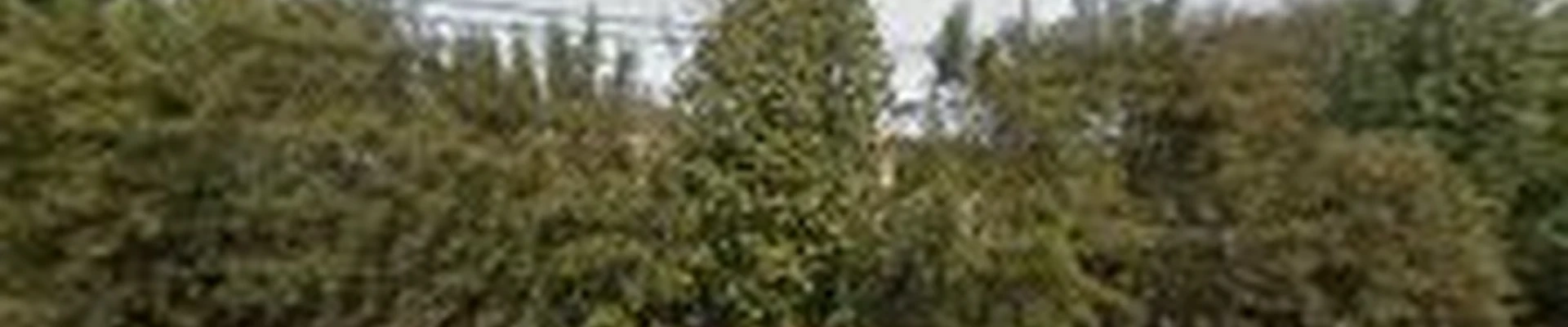 All Terrain Landscaping