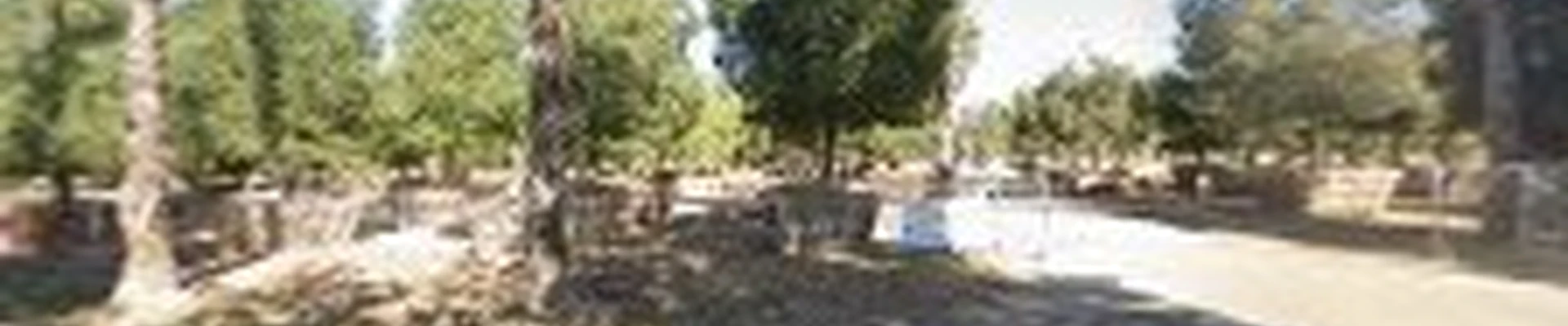 The Landscape Center