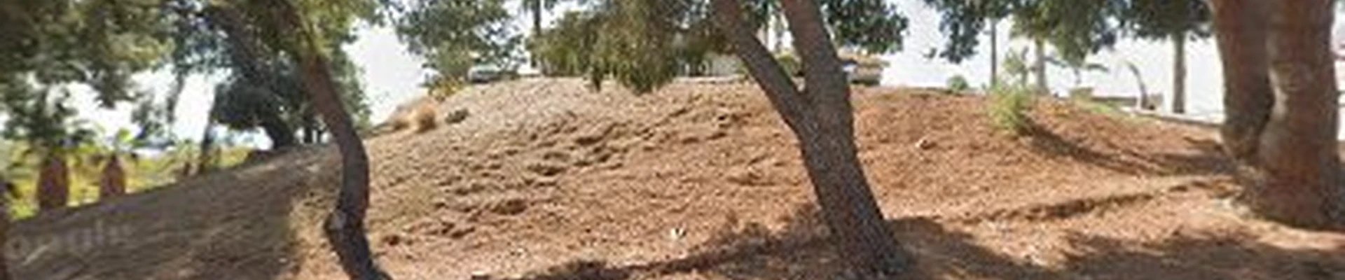 Burgess Landscaping