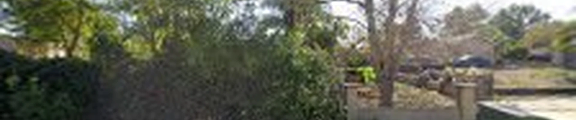 Olague Landscape & Maintenance Inc