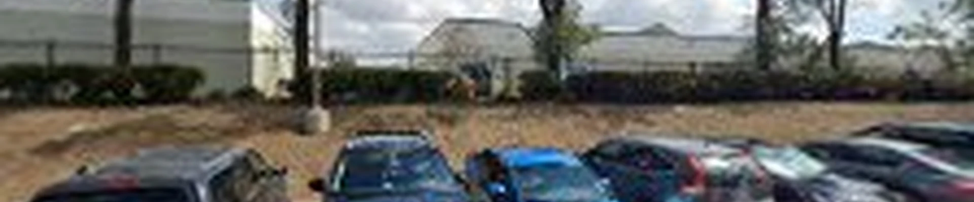 TruGreen Lawn Care