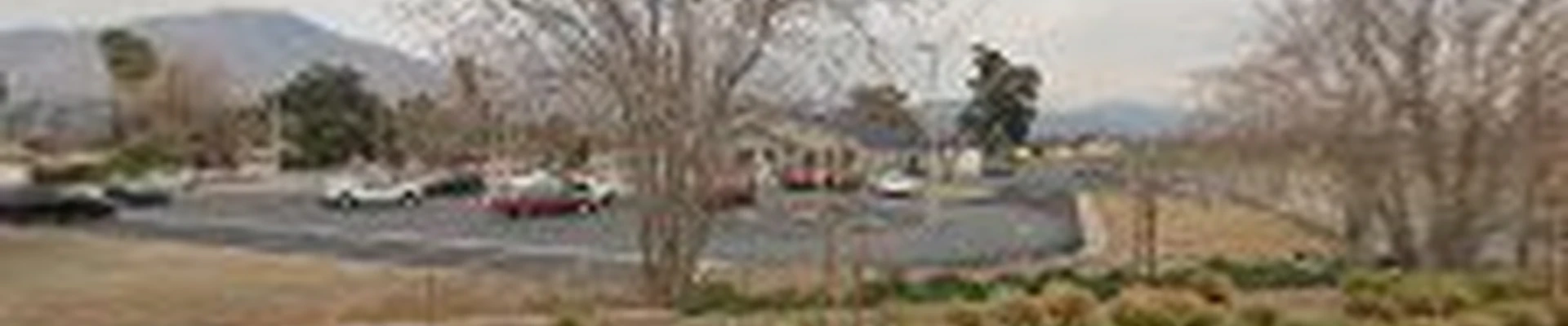 Schubert Landscaping and Irrigation repair