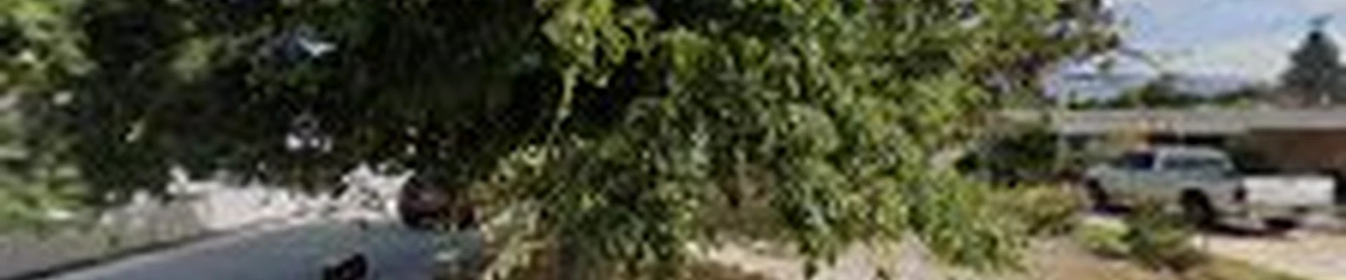 Julios Landscaping