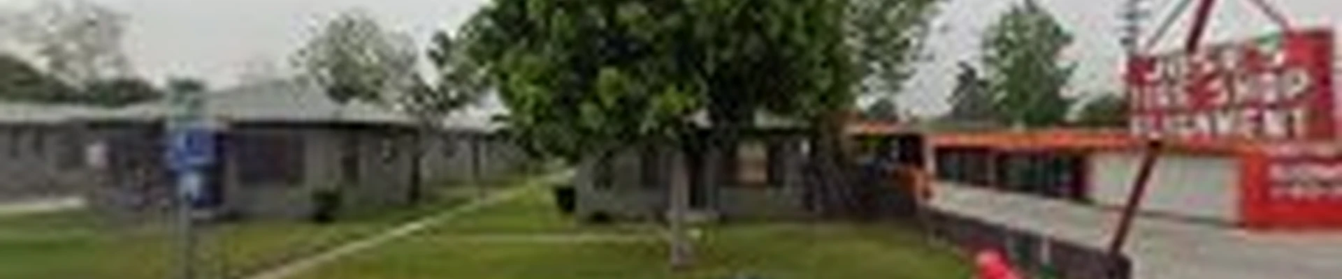 Ramos Tree Services & Landscaping