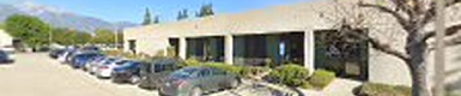 All Professional Landscape