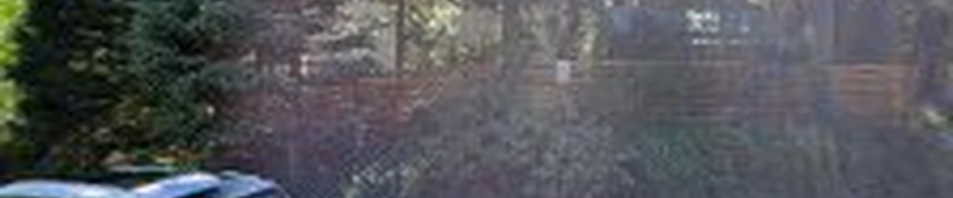 The Rodriguez Landscaping