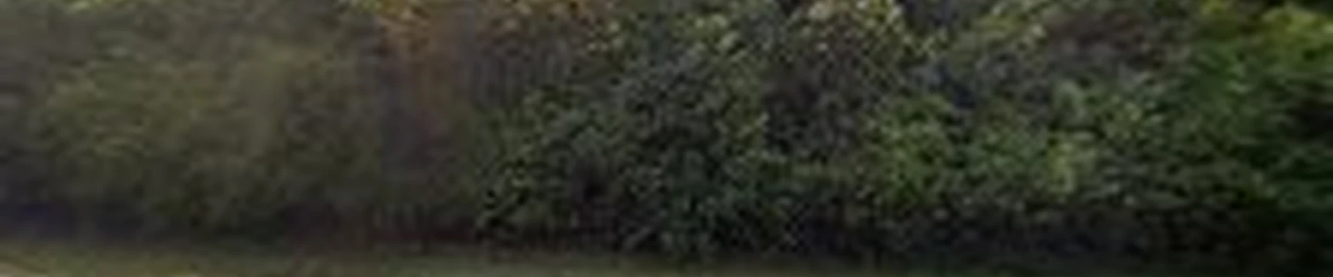 Ammon-Jones Landscape