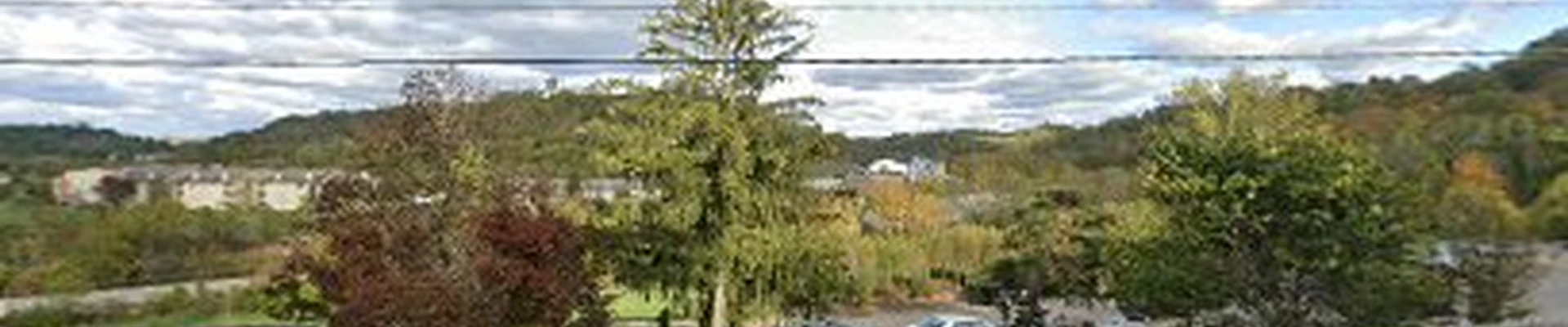 Davis Landscape