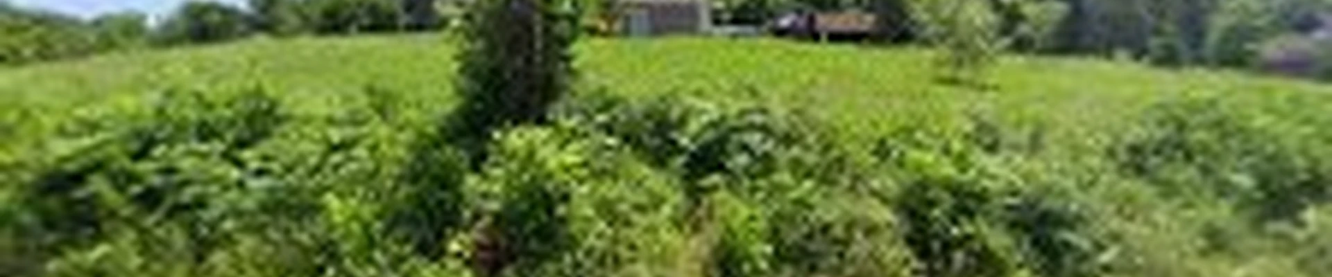 Deardorff's Landscaping