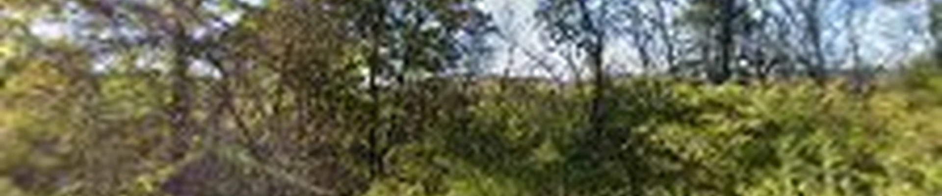 Kendrick & O'Dell Landscape