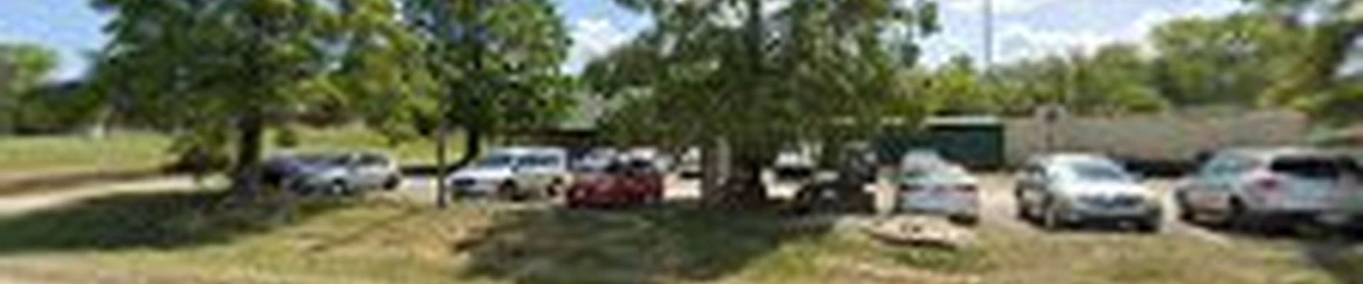 Young Entrepreneur Landscaping LLC