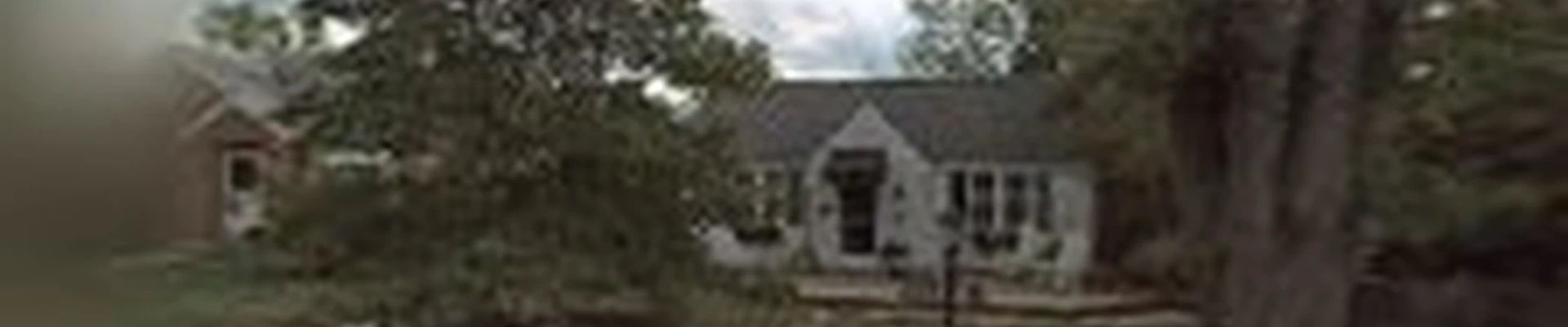 Rick Voland's Tree & Landscaping service