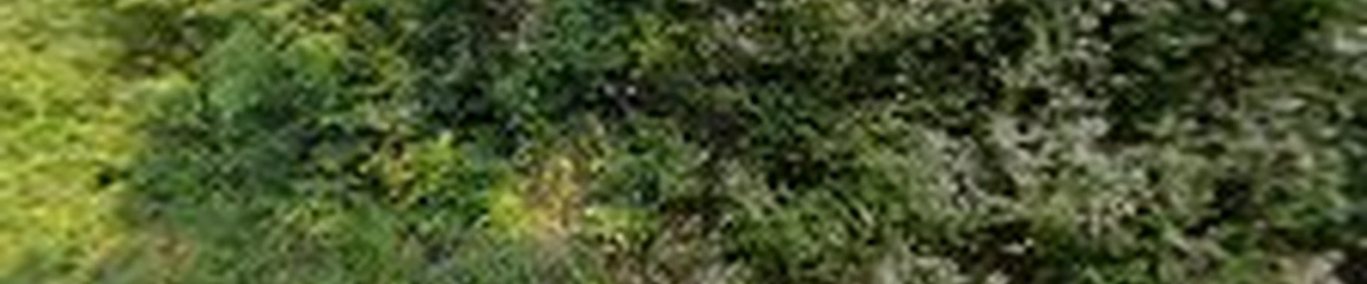 EverBold Landscaping