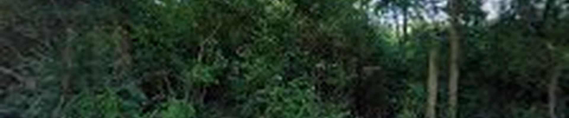 J R Thomas Landscaping Inc