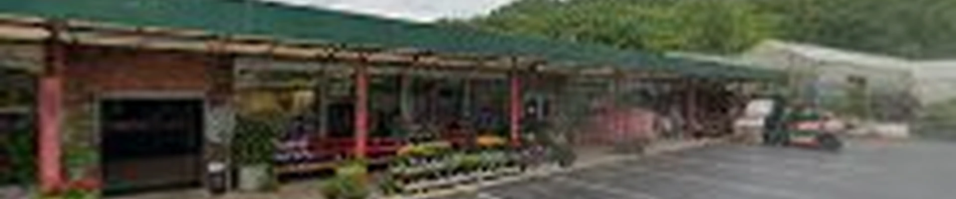 Jackson Florist and Garden Center