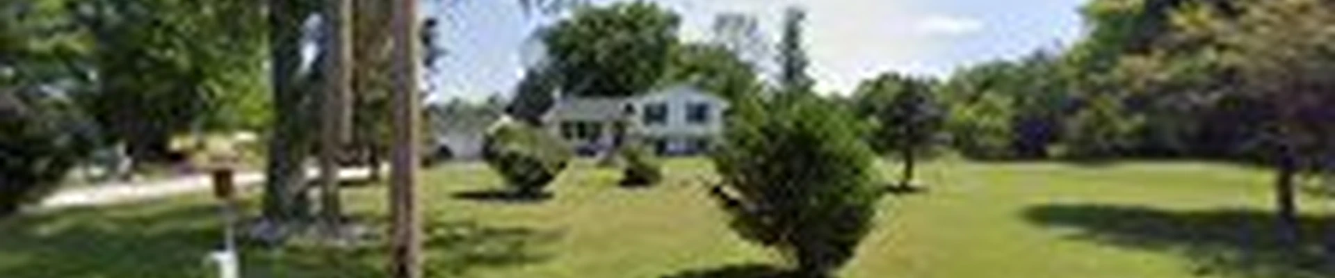 Disciple Services and Lawn Care