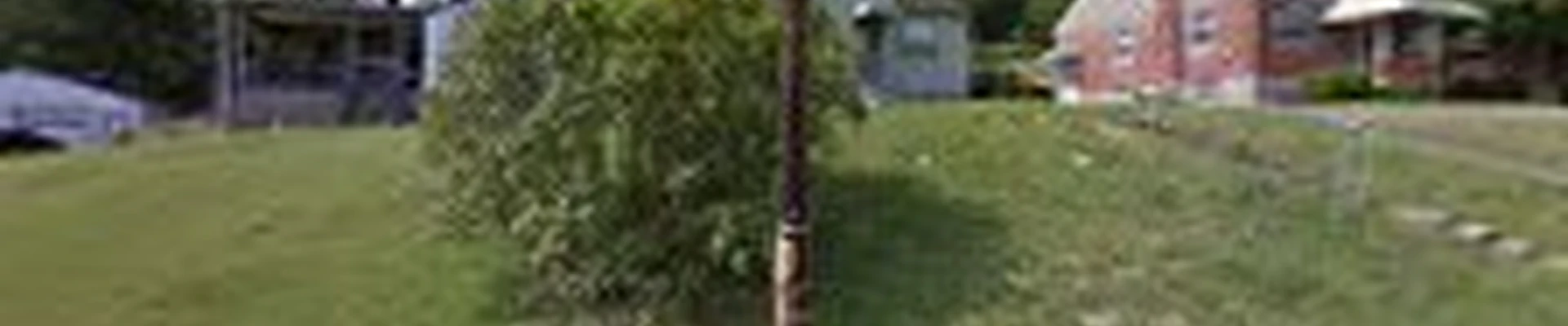 Phillips 4 Seasons Tree Services & Landscaping