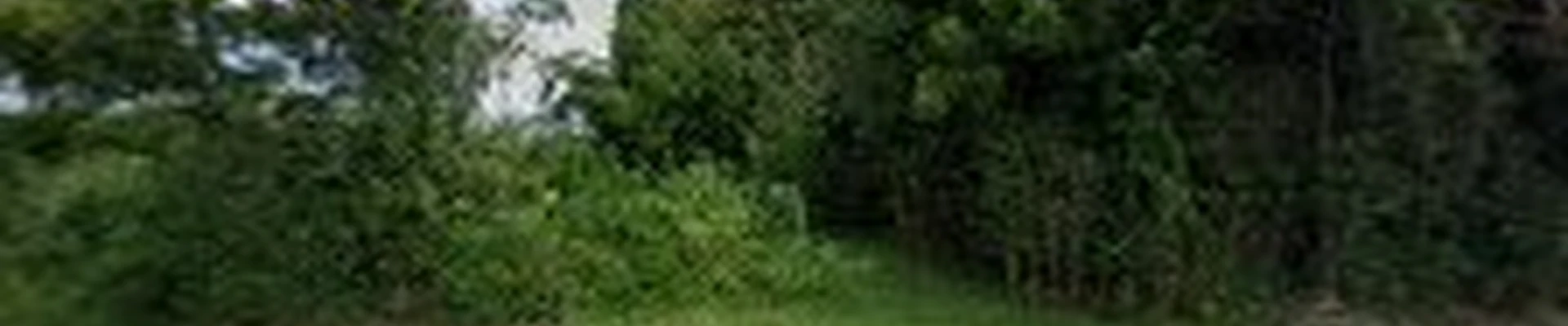 Melena Landscaping LLC