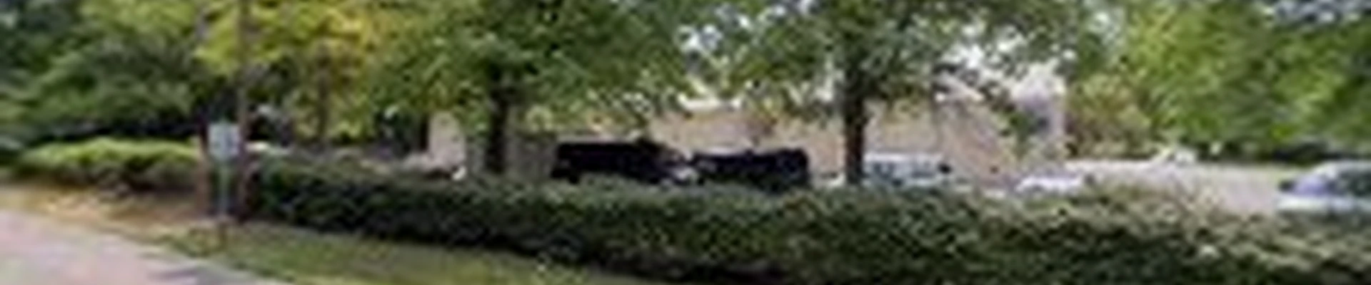 Jazmin Garden Landscaping