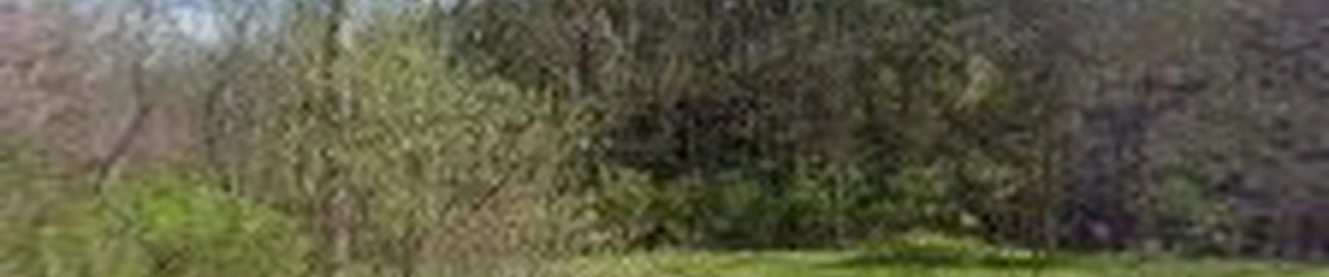 Wells Landscaping & Excavating LLC
