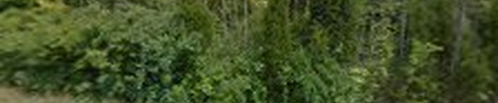 Tri-State Hydroseeding