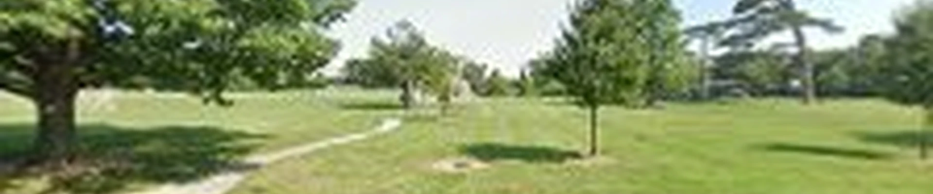 AMP Landscaping & Lawncare LCC