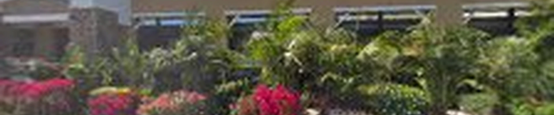 Garden Center at The Home Depot
