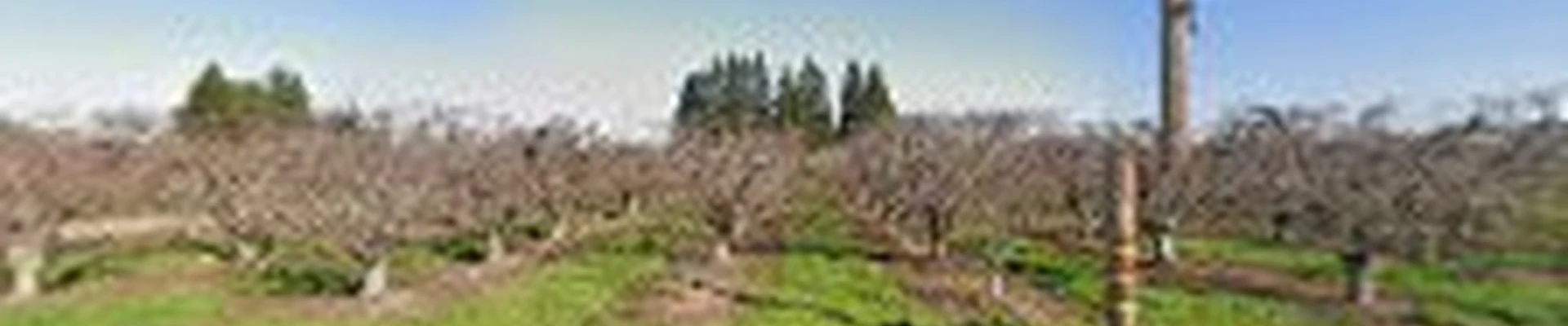 Nor-Cal Landscaping Inc.